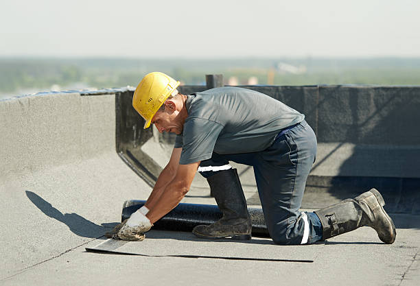 Insulation Repair Services in Fort Meade, FL